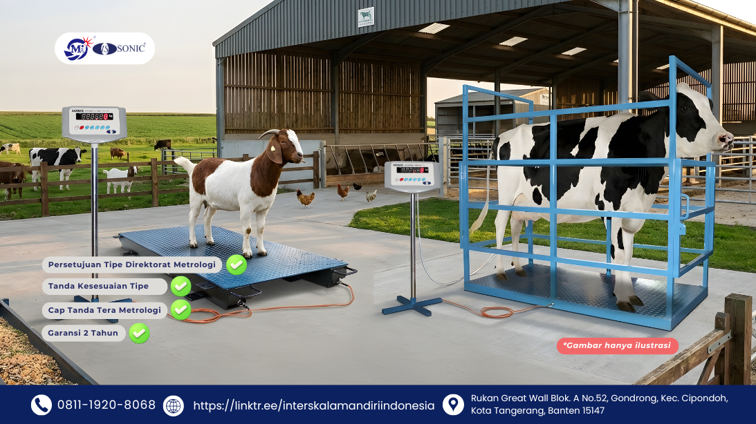 Perbedaan Animal Scale dan Load Bar untuk Sistem Penimbangan Ternak Modern
